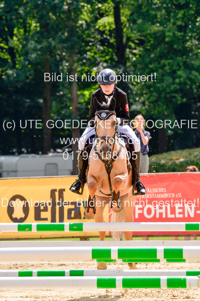 Goldene Schärpe 2021 in Münster Handorf | 04072021 - Springen 1 Abt_509