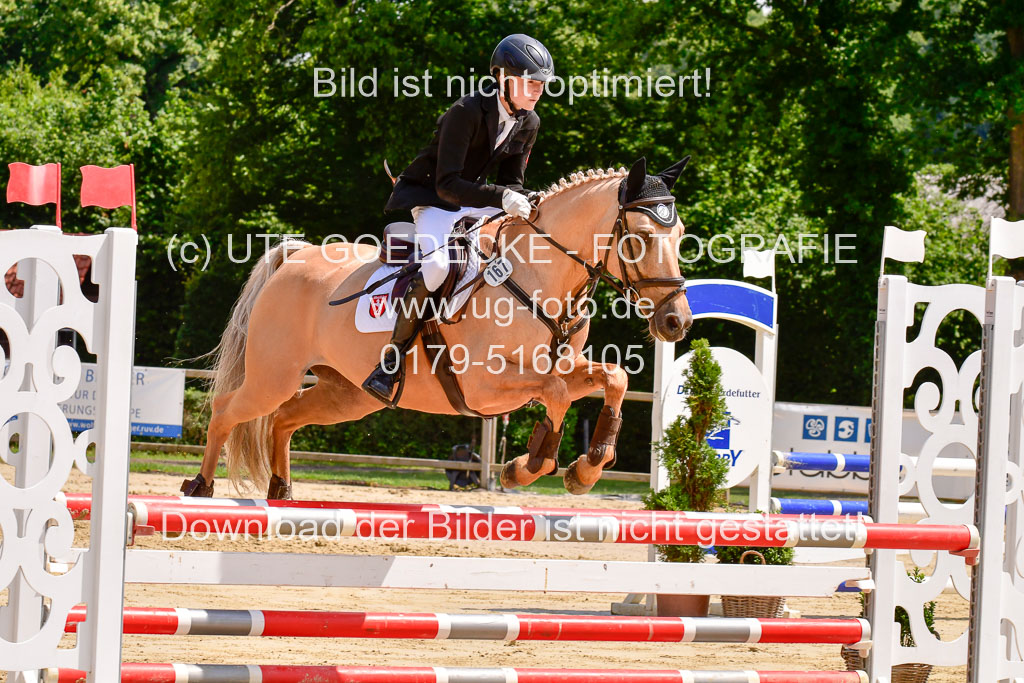 Goldene Schärpe 2021  in Münster Handorf | 04072021 - Springen 1 Abt_513 