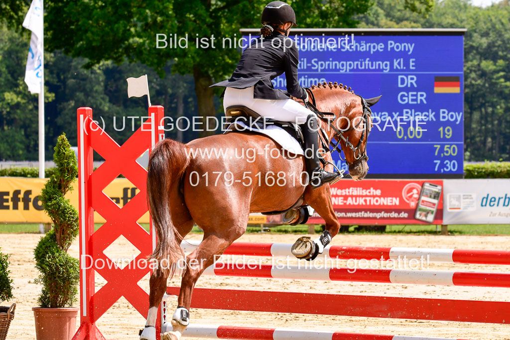 Goldene Schärpe 2021 in Münster Handorf | 04072021 - Springen 1 Abt_515