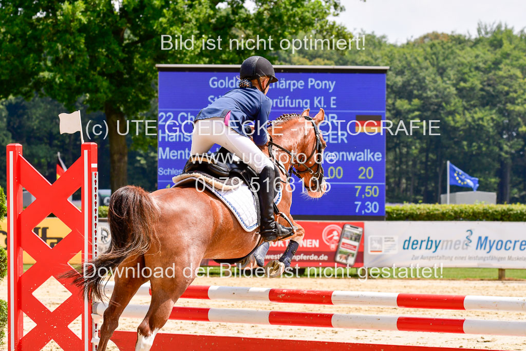 Goldene Schärpe 2021 in Münster Handorf | 04072021 - Springen 1 Abt_525