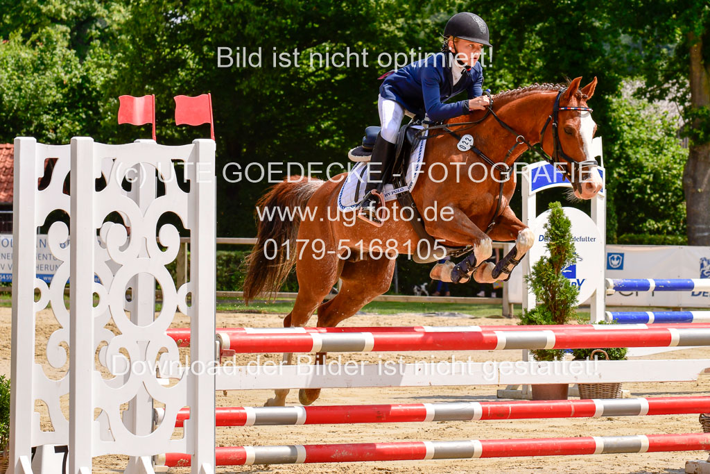 Goldene Schärpe 2021 in Münster Handorf | 04072021 - Springen 1 Abt_530
