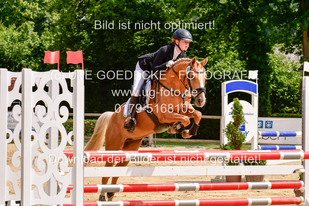 Goldene Schärpe 2021 in Münster Handorf | 04072021 - Springen 1 Abt_539