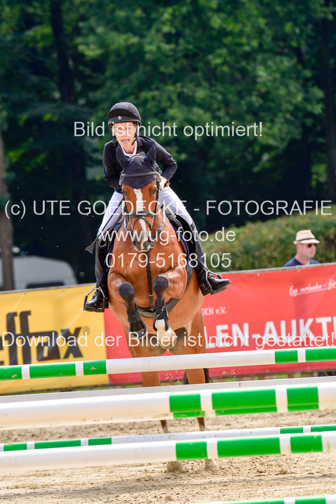 Goldene Schärpe 2021 in Münster Handorf | 04072021 - Springen 1 Abt_545