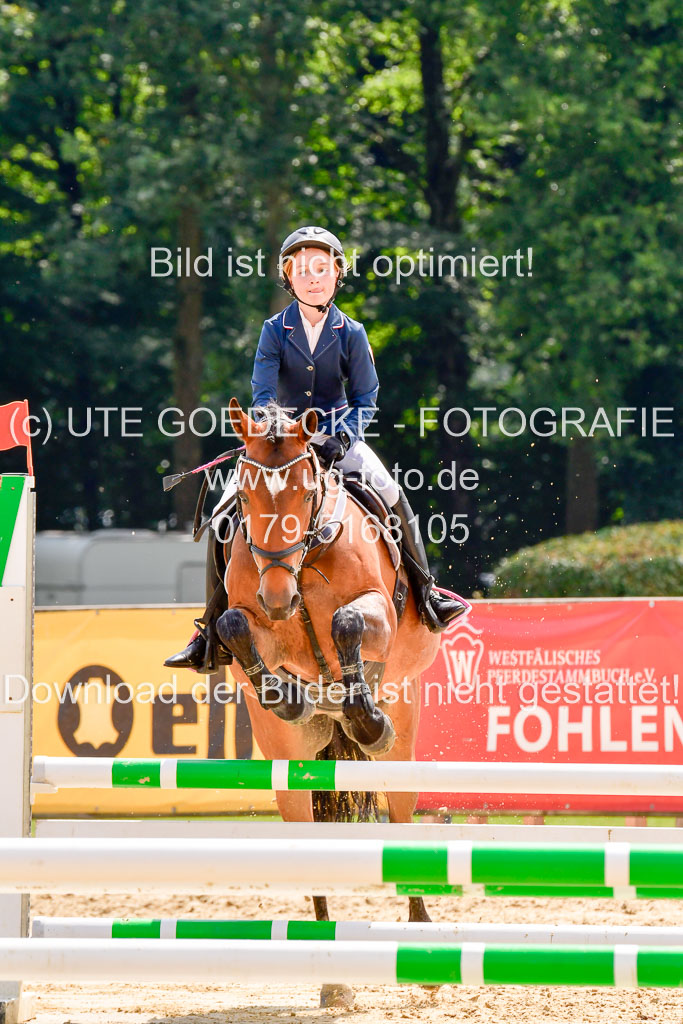 Goldene Schärpe 2021 in Münster Handorf | 04072021 - Springen 1 Abt_566