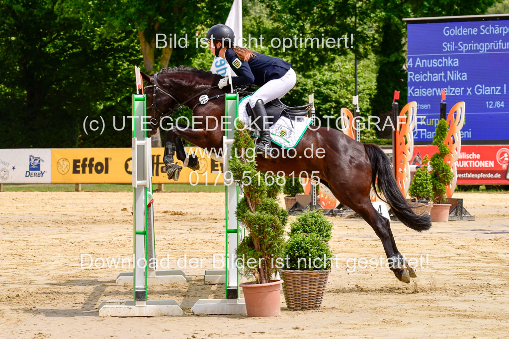 Goldene Schärpe 2021  in Münster Handorf | 04072021 - Springen 1 Abt_586 