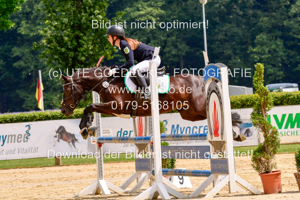 Goldene Schärpe 2021  in Münster Handorf | 04072021 - Springen 1 Abt_590 
