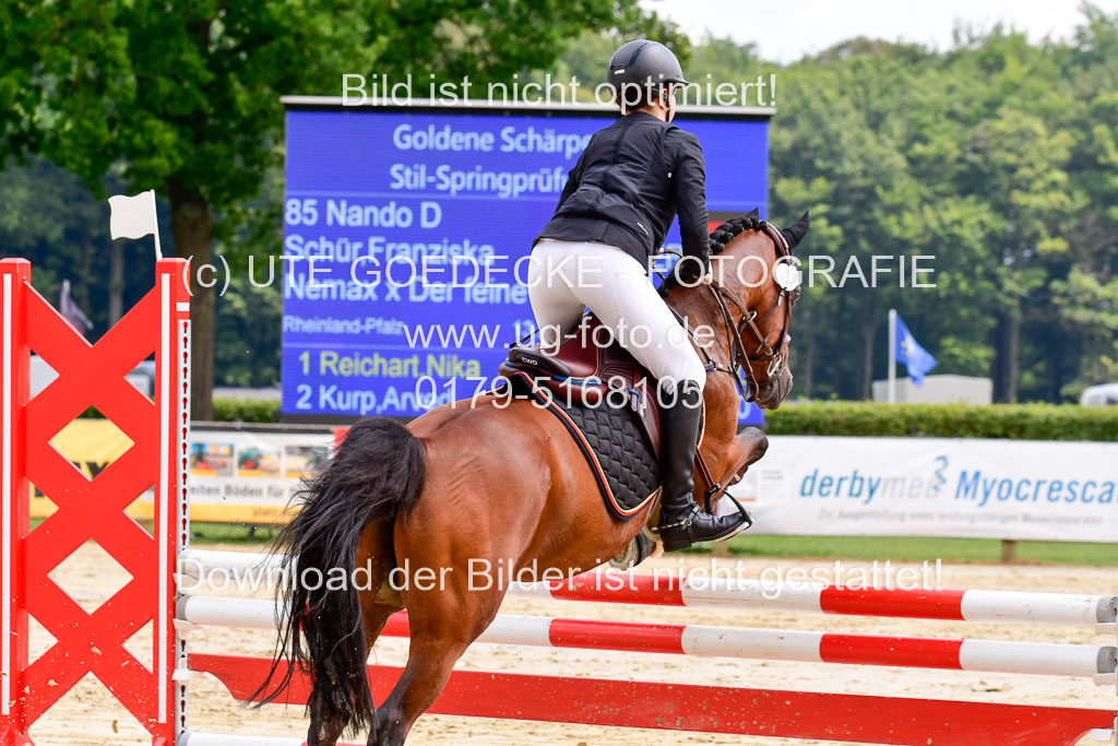 Goldene Schärpe 2021 in Münster Handorf | 04072021 - Springen 1 Abt_592