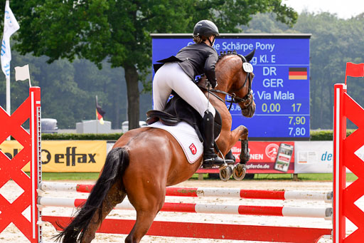 Goldene Schärpe 2021  in Münster Handorf | 04072021 - Springen 1 Abt_144 