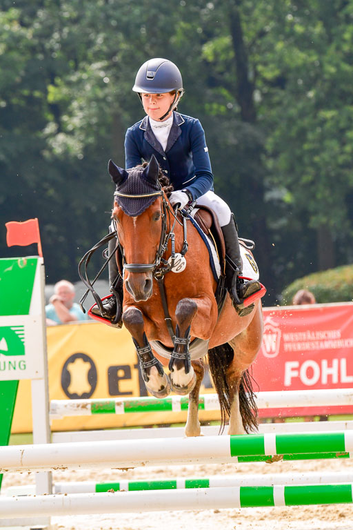 Goldene Schärpe 2021  in Münster Handorf | 04072021 - Springen 1 Abt_187 