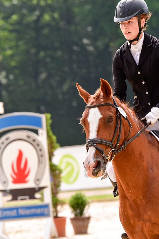 Goldene Schärpe 2021  in Münster Handorf | 04072021 - Springen 1 Abt_202 