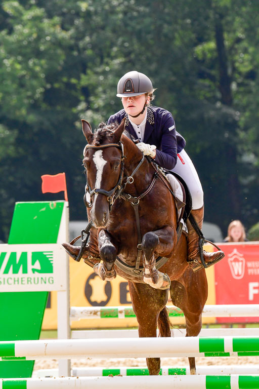 Goldene Schärpe 2021  in Münster Handorf | 04072021 - Springen 1 Abt_229 