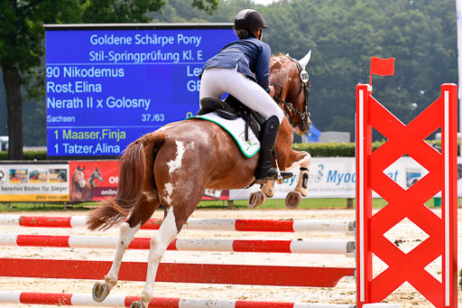 Goldene Schärpe 2021  in Münster Handorf | 04072021 - Springen 1 Abt_259 