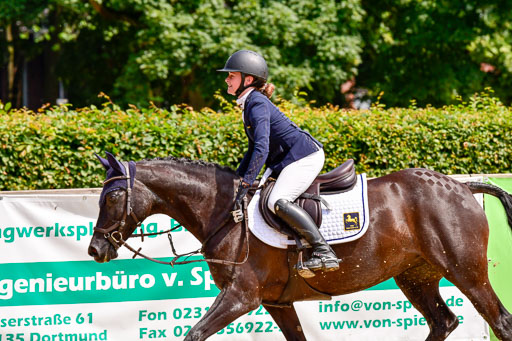 Goldene Schärpe 2021  in Münster Handorf | 04072021 - Springen 1 Abt_317 