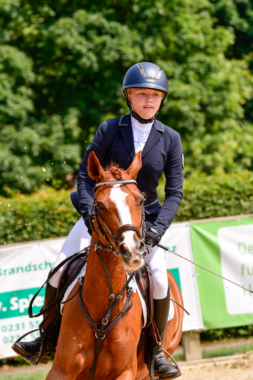 Goldene Schärpe 2021  in Münster Handorf | 04072021 - Springen 1 Abt_319 