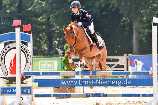 Goldene Schärpe 2021  in Münster Handorf | 04072021 - Springen 1 Abt_334 