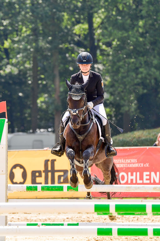 Goldene Schärpe 2021  in Münster Handorf | 04072021 - Springen 1 Abt_364 