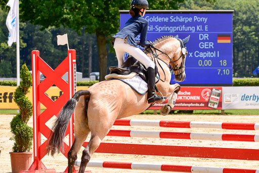 Goldene Schärpe 2021  in Münster Handorf | 04072021 - Springen 1 Abt_491 