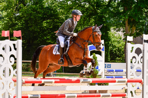 Goldene Schärpe 2021  in Münster Handorf | 04072021 - Springen 1 Abt_503 