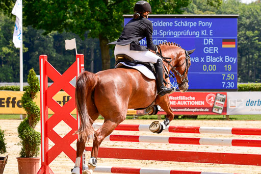 Goldene Schärpe 2021  in Münster Handorf | 04072021 - Springen 1 Abt_515 