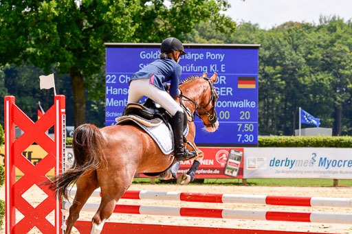 Goldene Schärpe 2021  in Münster Handorf | 04072021 - Springen 1 Abt_525 
