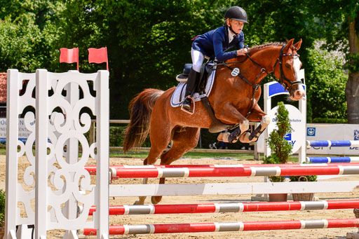 Goldene Schärpe 2021  in Münster Handorf | 04072021 - Springen 1 Abt_530 