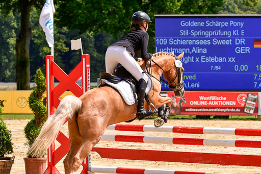 Goldene Schärpe 2021  in Münster Handorf | 04072021 - Springen 1 Abt_534 