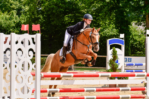 Goldene Schärpe 2021  in Münster Handorf | 04072021 - Springen 1 Abt_539 