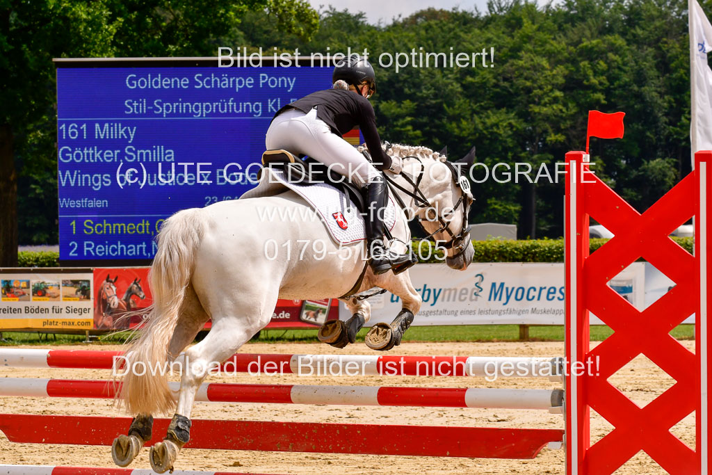 Goldene Schärpe 2021  in Münster Handorf | 04072021 - Springen 2 Abt_079 