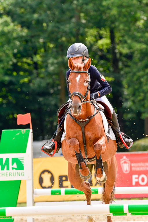 Goldene Schärpe 2021  in Münster Handorf | 04072021 - Springen 2 Abt_033 