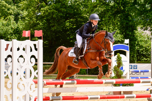 Goldene Schärpe 2021  in Münster Handorf | 04072021 - Springen 2 Abt_055 