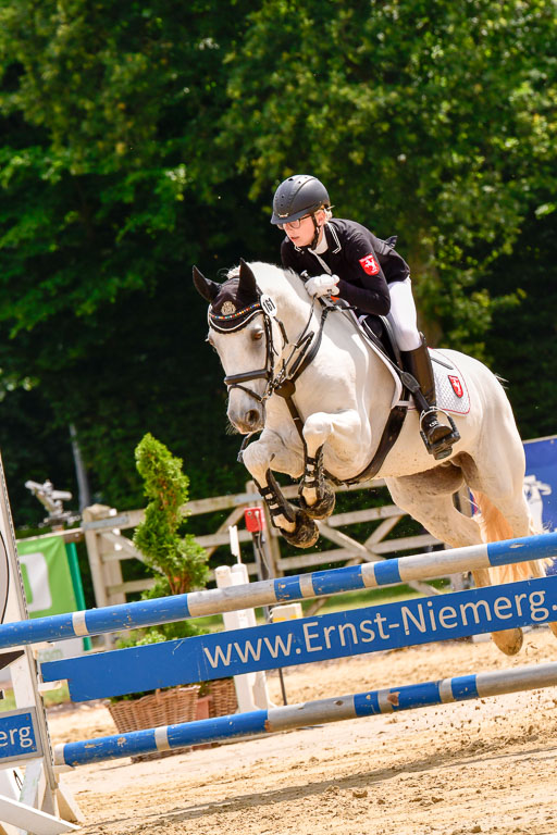 Goldene Schärpe 2021  in Münster Handorf | 04072021 - Springen 2 Abt_086 