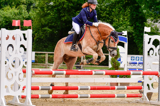 Goldene Schärpe 2021  in Münster Handorf | 04072021 - Springen 2 Abt_097 