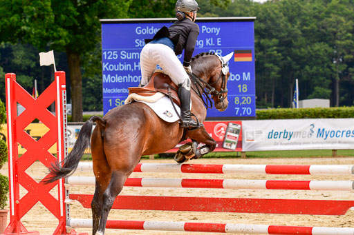 Goldene Schärpe 2021  in Münster Handorf | 04072021 - Springen 2 Abt_107 