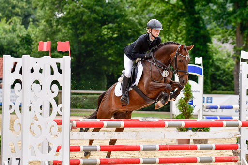 Goldene Schärpe 2021  in Münster Handorf | 04072021 - Springen 2 Abt_157 