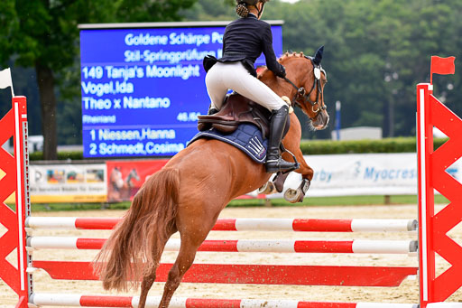 Goldene Schärpe 2021  in Münster Handorf | 04072021 - Springen 2 Abt_172 