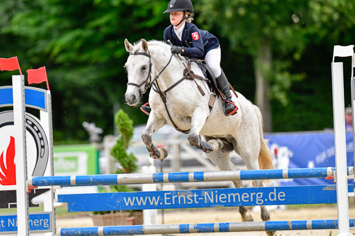 Goldene Schärpe 2021  in Münster Handorf | 04072021 - Springen 2 Abt_242 