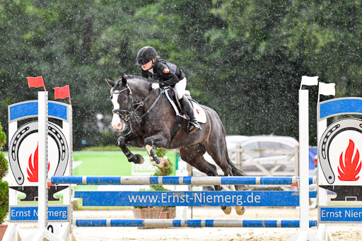 Goldene Schärpe 2021  in Münster Handorf | 04072021 - Springen 2 Abt_292 