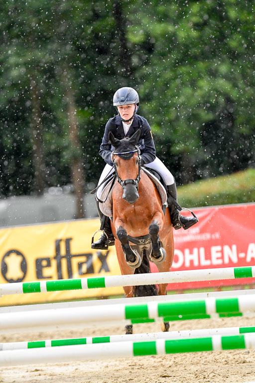 Goldene Schärpe 2021  in Münster Handorf | 04072021 - Springen 2 Abt_296 