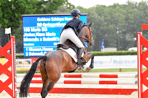 Goldene Schärpe 2021  in Münster Handorf | 04072021 - Springen 2 Abt_303 