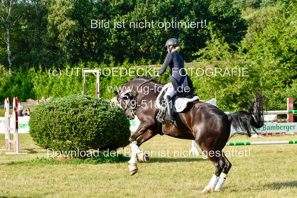 Reitturnier Harburger RV  16-18.7.2021 | Dressur_016 