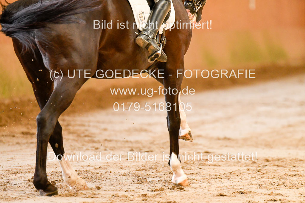 Reitturnier Harburger RV  16-18.7.2021 | Dressur_033 