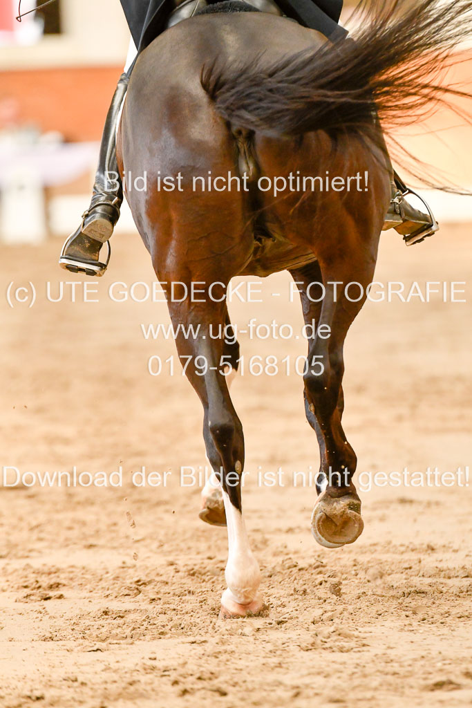 Reitturnier Harburger RV  16-18.7.2021 | Dressur_039 