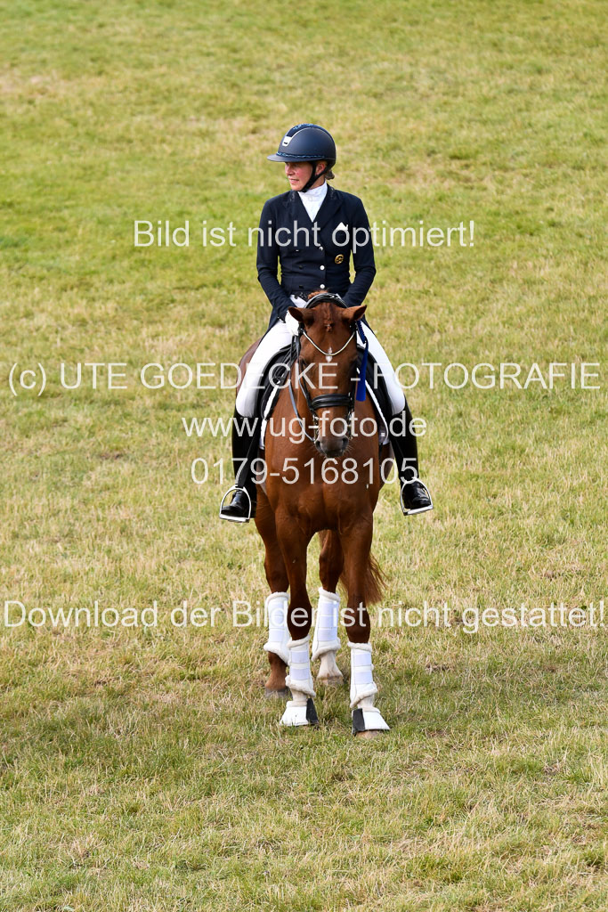 Reitturnier Harburger RV  16-18.7.2021 | Dressur_079 