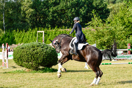 Reitturnier Harburger RV  16-18.7.2021 | Dressur_016 