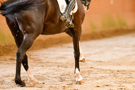 Reitturnier Harburger RV  16-18.7.2021 | Dressur_033 