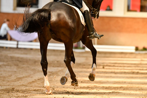 Reitturnier Harburger RV  16-18.7.2021 | Dressur_034 