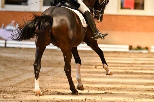 Reitturnier Harburger RV  16-18.7.2021 | Dressur_035 