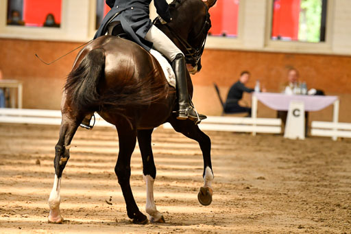 Reitturnier Harburger RV  16-18.7.2021 | Dressur_036 