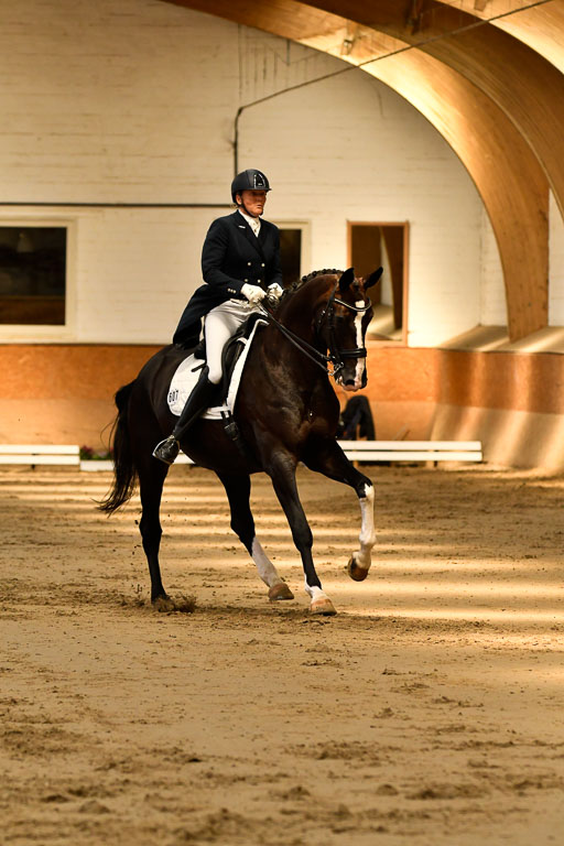 Reitturnier Harburger RV  16-18.7.2021 | Dressur_038 