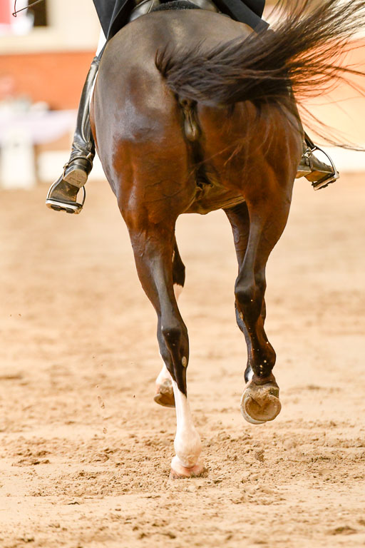 Reitturnier Harburger RV  16-18.7.2021 | Dressur_039 